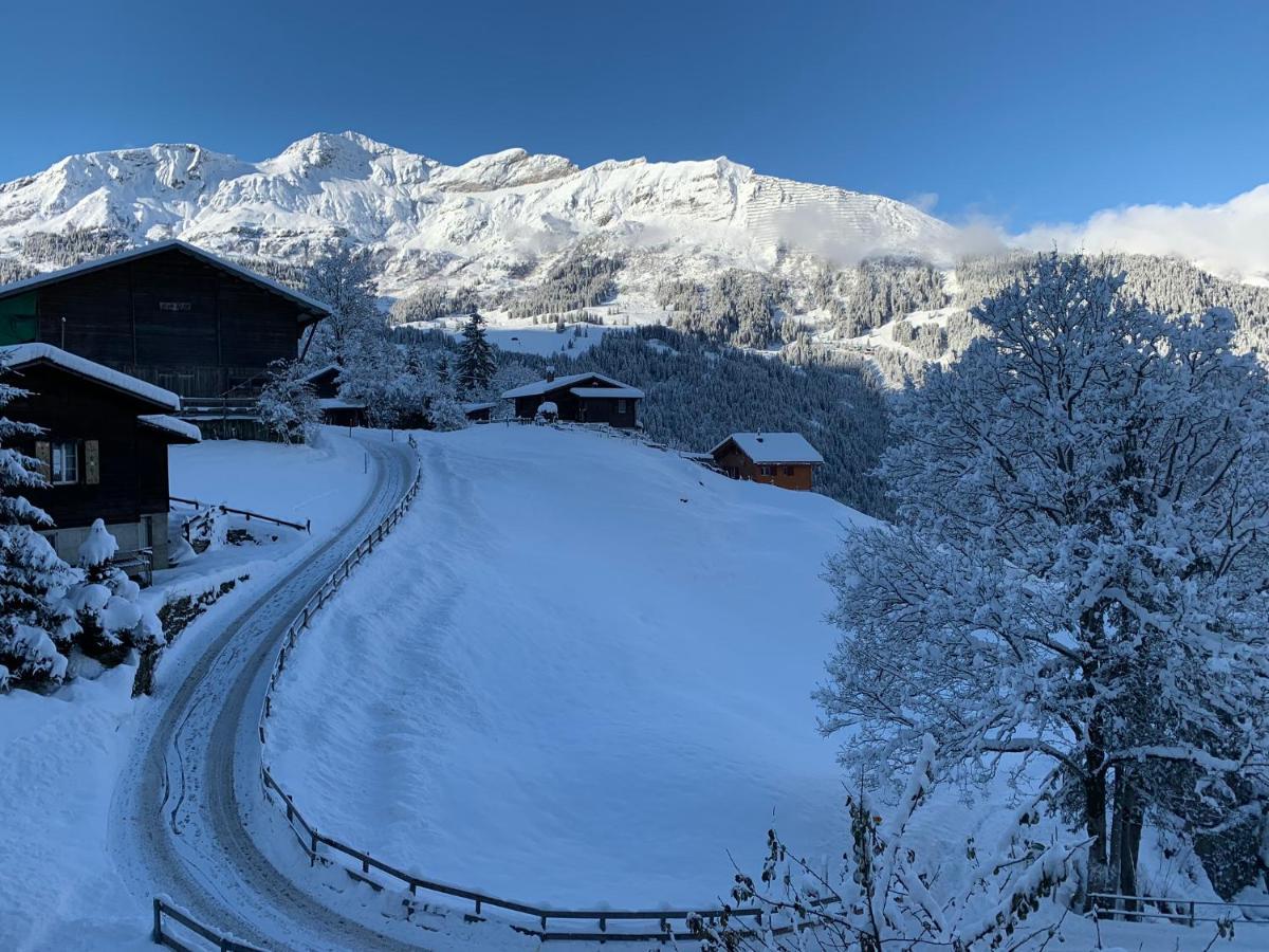 Chalet Schiltwald Innerwengen Exteriör bild