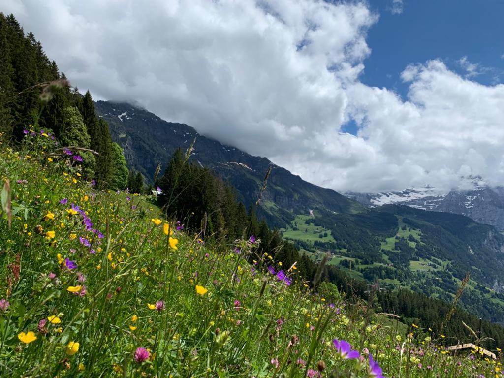 Chalet Schiltwald Innerwengen Exteriör bild