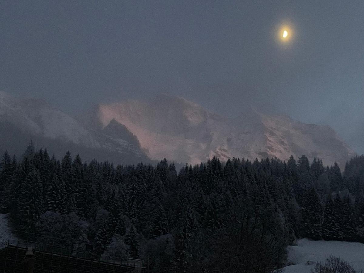Chalet Schiltwald Innerwengen Exteriör bild