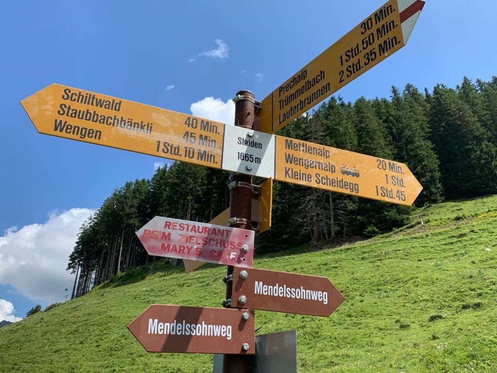 Chalet Schiltwald Innerwengen Exteriör bild