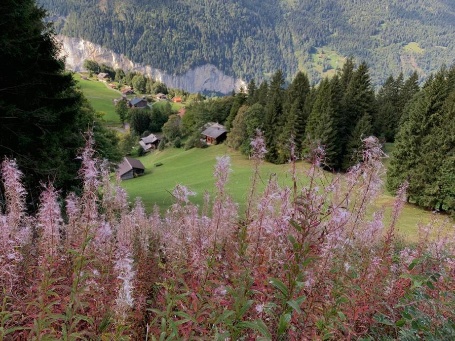Chalet Schiltwald Innerwengen Exteriör bild