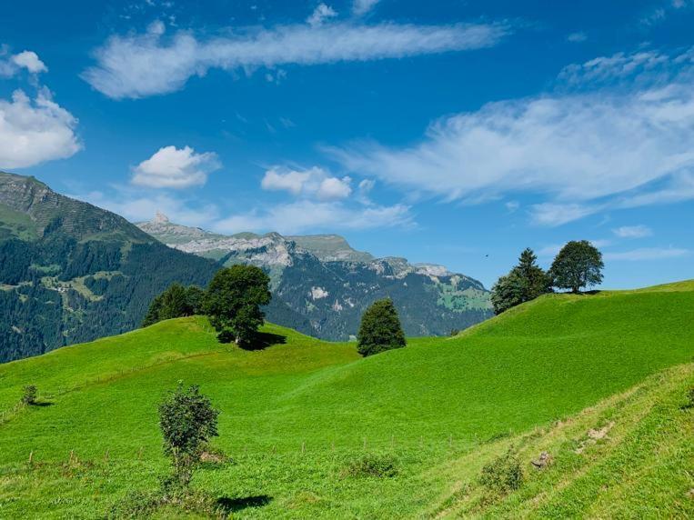 Chalet Schiltwald Innerwengen Exteriör bild