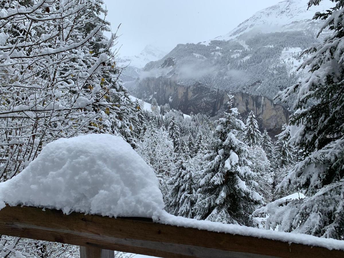 Chalet Schiltwald Innerwengen Exteriör bild